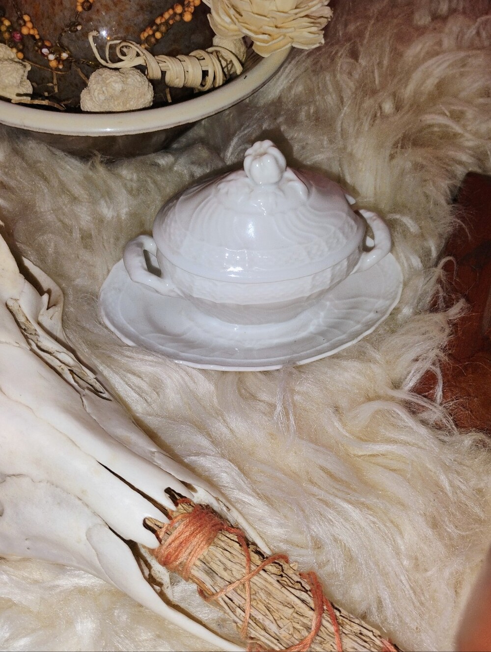 Richard Ginori Italy White Porcelain Covered Sugar Bowl (Vecchio Ginori / C-7)
